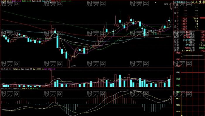 第二天必漲的股票形態 第二天必漲的股票形態