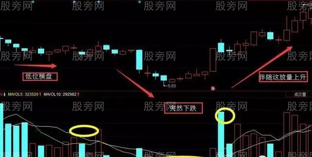 強勢大黑馬形態 強勢大黑馬形態