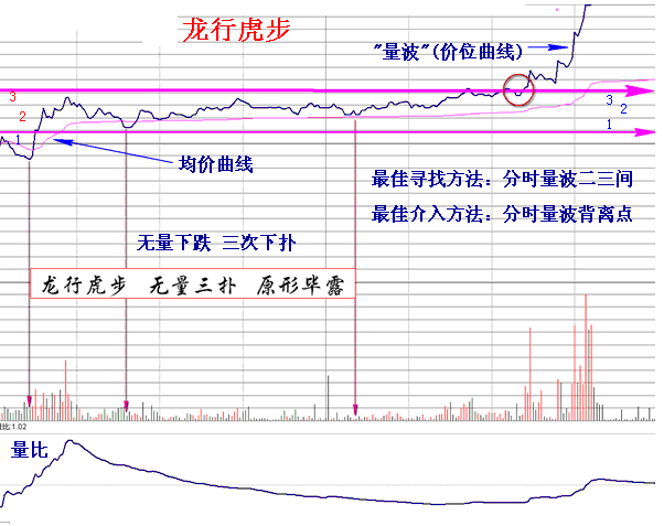 量學理論之龍行虎步 量學理論之龍行虎步