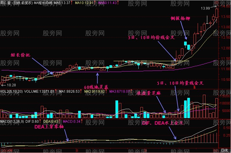 三金叉抓住上揚行情 三金叉抓住上揚行情