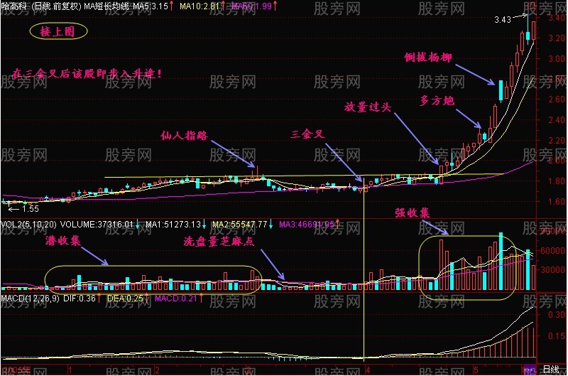 三金叉抓住上揚行情 三金叉抓住上揚行情