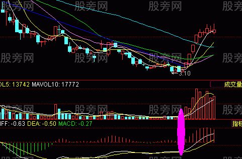 牛股的基本面和技術面共同特點