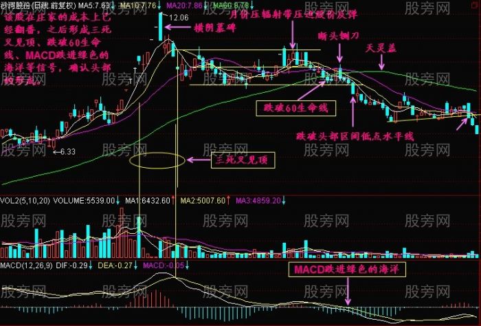 用生命線判斷頂部 用生命線判斷頂部