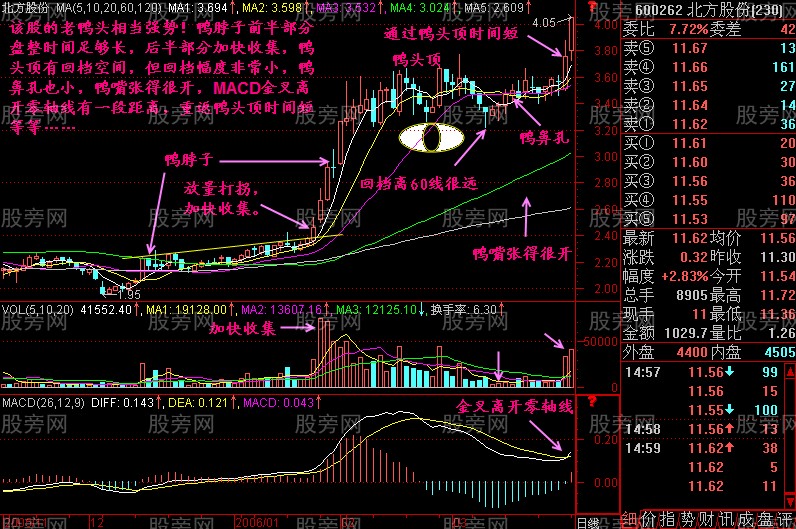 經典技術分析老鴨頭 經典技術分析老鴨頭