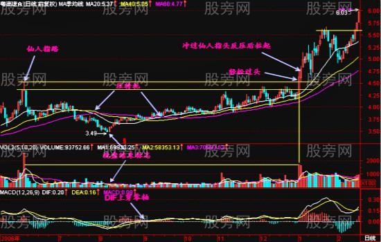 仙人指路戰法深度研究 仙人指路戰法深度研究