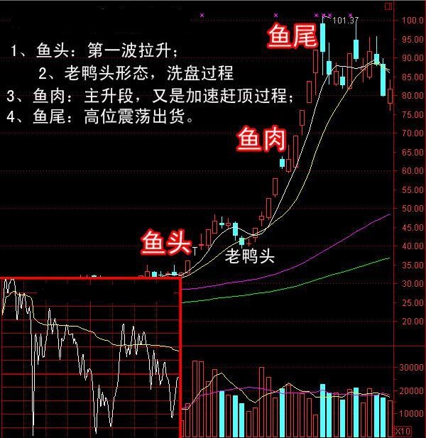 魚頭魚肉魚尾拉升三部曲