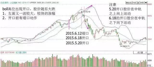 佈林線喇叭口形態解析 佈林線喇叭口形態解析