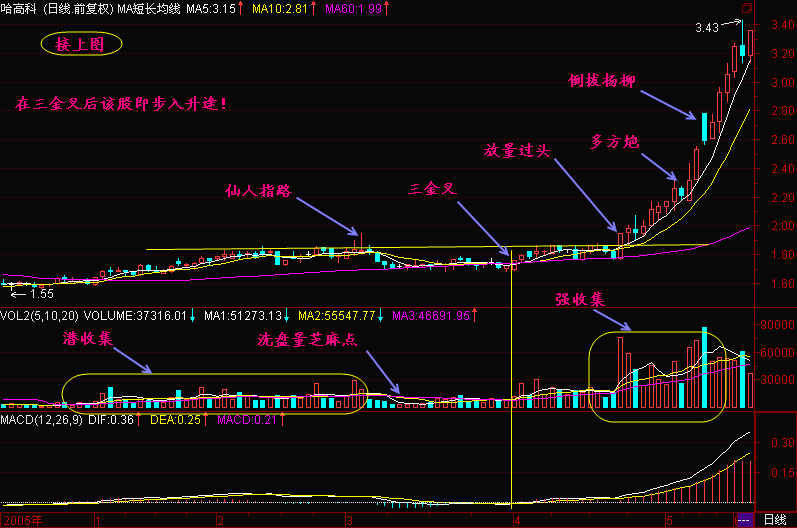 三金叉見底形態操作方法 三金叉見底形態操作方法
