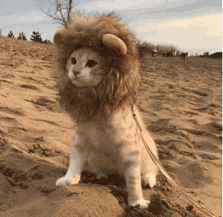 科創板第一批25隻新股上市首日眾生相(GIF動圖) 科創板第一批25隻新股上市首日眾生相(GIF動圖),拾荒網