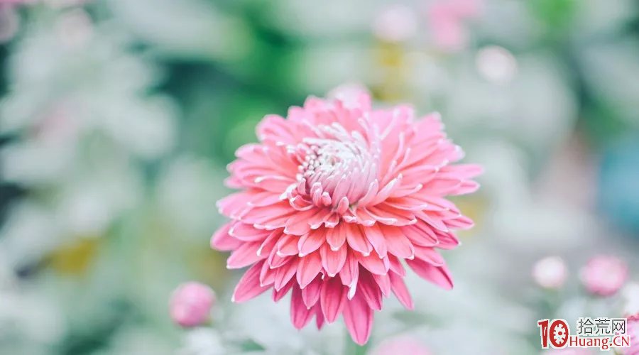 深度好文:真正的高手都是悄無聲息的擺渡人 深度好文:真正的高手都是悄無聲息的擺渡人,拾荒網