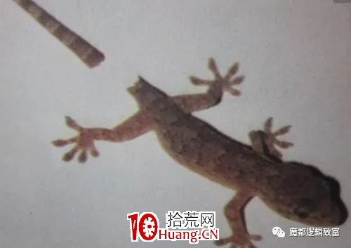 讓散戶在股市中賺錢的習慣系列之止損(一) 讓散戶在股市中賺錢的習慣系列之止損(一),拾荒網
