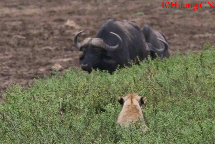 如何讓右側交易利潤最大化?(圖解) 如何讓右側交易利潤最大化?(圖解),拾荒網