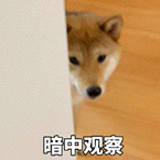 通達信官網普及文章:看盤到底看什麼 通達信官網普及文章:看盤到底看什麼,拾荒網