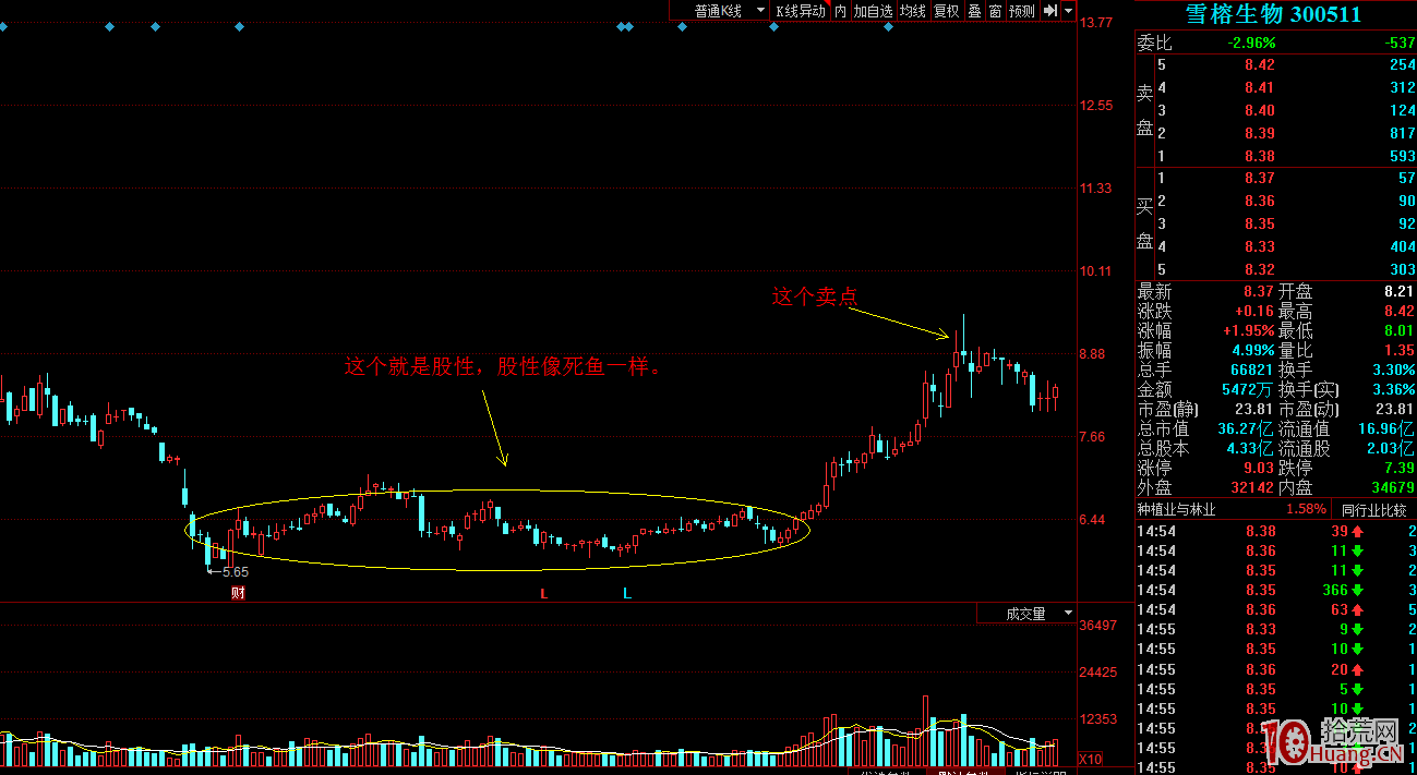 股性之賣點(深度教程圖解) 股性之賣點(深度教程圖解),拾荒網