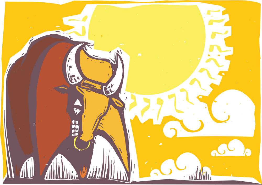 股市,新手到高手的秘密都在這裡瞭!!! 股市,新手到高手的秘密都在這裡瞭!!!,拾荒網