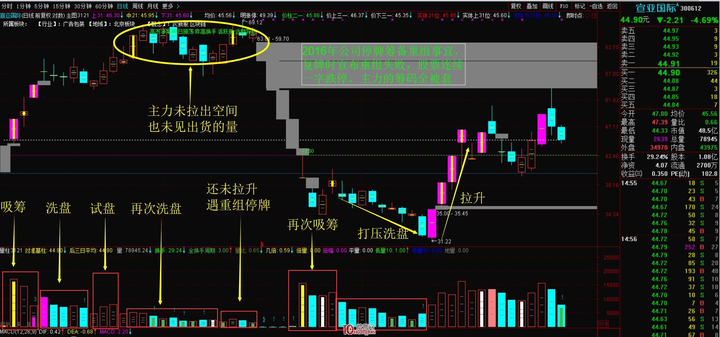 大盤系統性風險暴跌之後反彈最兇的股票都有什麼特點（圖解）,拾荒網