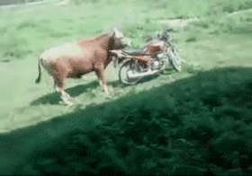 科創板第一批25隻新股上市首日眾生相(GIF動圖) 科創板第一批25隻新股上市首日眾生相(GIF動圖),拾荒網