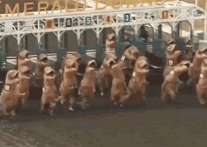 科創板第一批25隻新股上市首日眾生相(GIF動圖) 科創板第一批25隻新股上市首日眾生相(GIF動圖),拾荒網