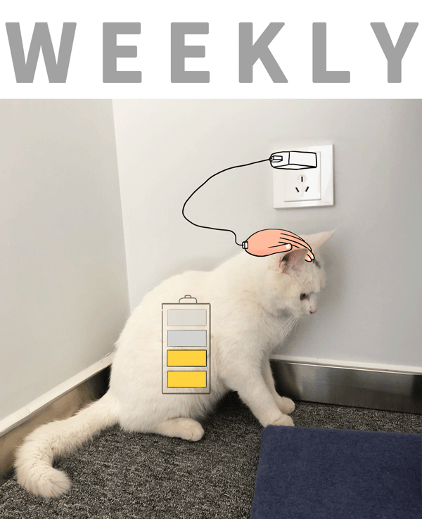 通達信官網普及文章:看盤到底看什麼 通達信官網普及文章:看盤到底看什麼,拾荒網