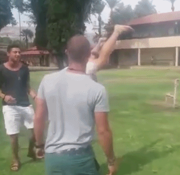 科創板第一批25隻新股上市首日眾生相(GIF動圖) 科創板第一批25隻新股上市首日眾生相(GIF動圖),拾荒網