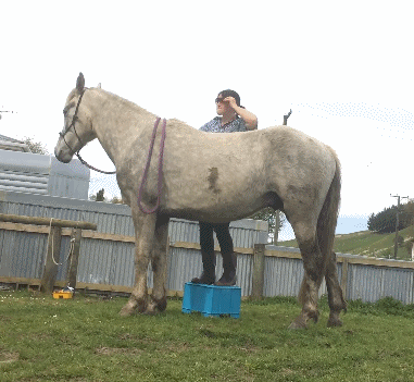 科創板第一批25隻新股上市首日眾生相(GIF動圖) 科創板第一批25隻新股上市首日眾生相(GIF動圖),拾荒網