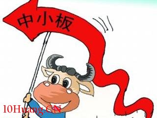 什麼是中小板塊——股票術語解析 什麼是中小板塊——股票術語解析,拾荒網