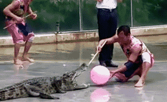 科創板第一批25隻新股上市首日眾生相(GIF動圖) 科創板第一批25隻新股上市首日眾生相(GIF動圖),拾荒網