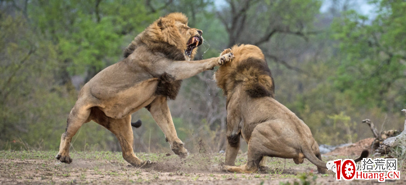 如何破解:每當想大幹一場時,就被幹一場 如何破解:每當想大幹一場時,就被幹一場,拾荒網