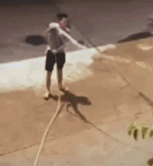 科創板第一批25隻新股上市首日眾生相(GIF動圖) 科創板第一批25隻新股上市首日眾生相(GIF動圖),拾荒網