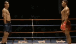 科創板第一批25隻新股上市首日眾生相(GIF動圖) 科創板第一批25隻新股上市首日眾生相(GIF動圖),拾荒網