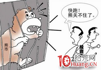 熊市生存法則,拾荒網