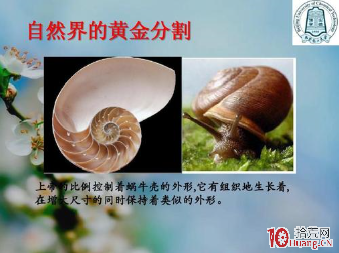 黃金分割線戰法(圖解) 黃金分割線戰法(圖解),拾荒網