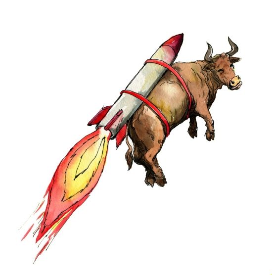 牛市操作指南 牛市操作指南,拾荒網