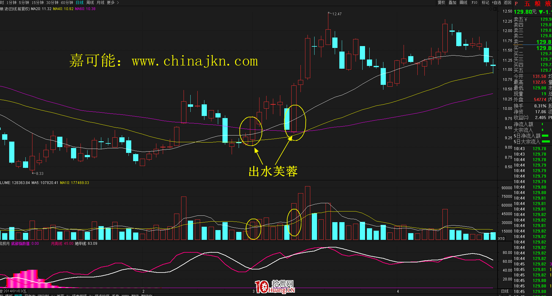什麼是出水芙蓉K線形態?出水芙蓉形態的炒股技巧詳解 什麼是出水芙蓉K線形態?出水芙蓉形態的炒股技巧詳解,拾荒網