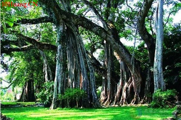 K線圖高手進階教程2:K線技術分析的靈魂(圖解) K線圖高手進階教程2:K線技術分析的靈魂(圖解),拾荒網