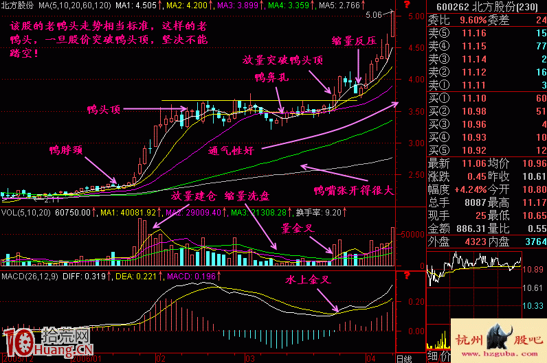 圖解如何操作判斷老鴨頭暴漲形態 圖解如何操作判斷老鴨頭暴漲形態,拾荒網