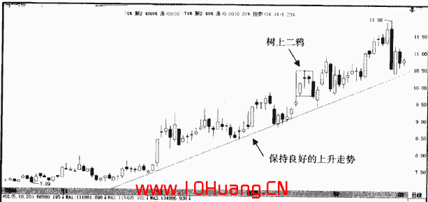 樹上二鴉K線組合的炒股技巧(圖解) 樹上二鴉K線組合的炒股技巧(圖解),拾荒網