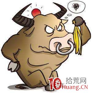 短線操作經驗談 短線操作經驗談,拾荒網