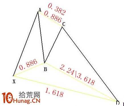 螃蟹形態圖解：蝴蝶形態的特例 蝶翅演變為長蟹腿,拾荒網