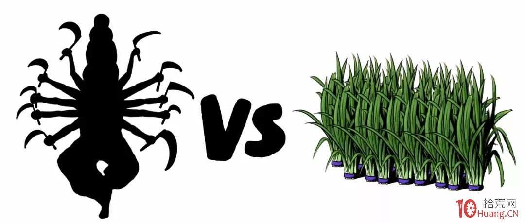 “一買就跌,一賣就漲”,為什麼?(圖解) “一買就跌,一賣就漲”,為什麼?(圖解),拾荒網