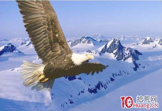 如何買在行情啟動點？大鵬展翅K線形態，低位妖股常見！（圖解）,拾荒網