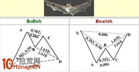 蝙蝠形態圖解：天才斯科特卡尼發現的第二個價格模式,拾荒網