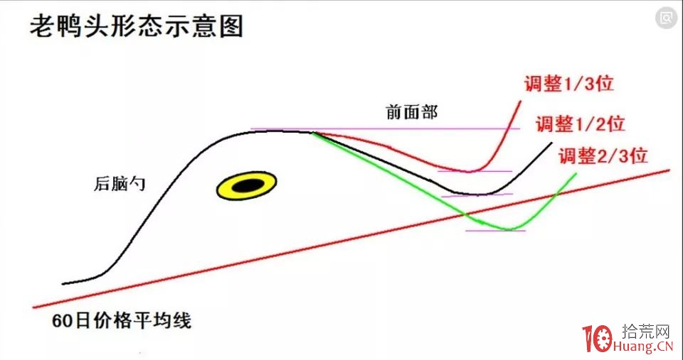 老鴨頭形態選股技巧(圖解) 老鴨頭形態選股技巧(圖解),拾荒網
