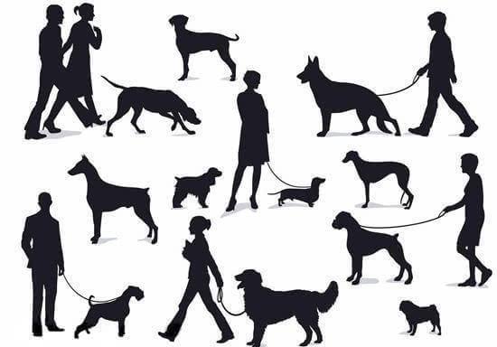 遊資大佬談交易者的進階層次 遊資大佬談交易者的進階層次,拾荒網