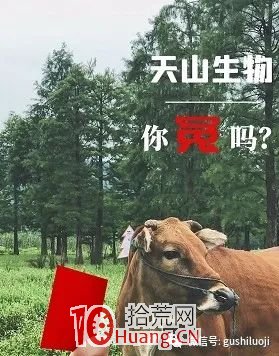 短線心法——拳打兩不知 短線心法——拳打兩不知,拾荒網