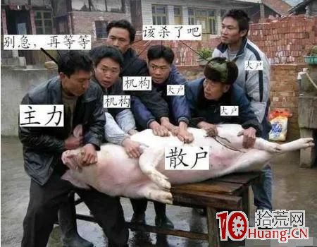 給你20萬，你會如何炒股？,拾荒網