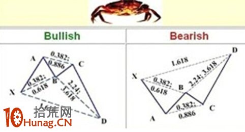 螃蟹形態圖解：蝴蝶形態的特例 蝶翅演變為長蟹腿,拾荒網