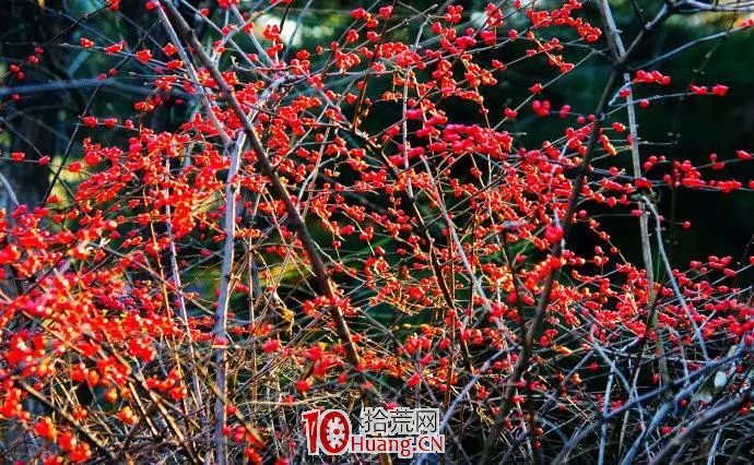 《纏論108課》56:突發事件下的走勢和操作實例(中樞、走勢類型和買賣點篇) 《纏論108課》56:突發事件下的走勢和操作實例(中樞、走勢類型和買賣點篇),拾荒網