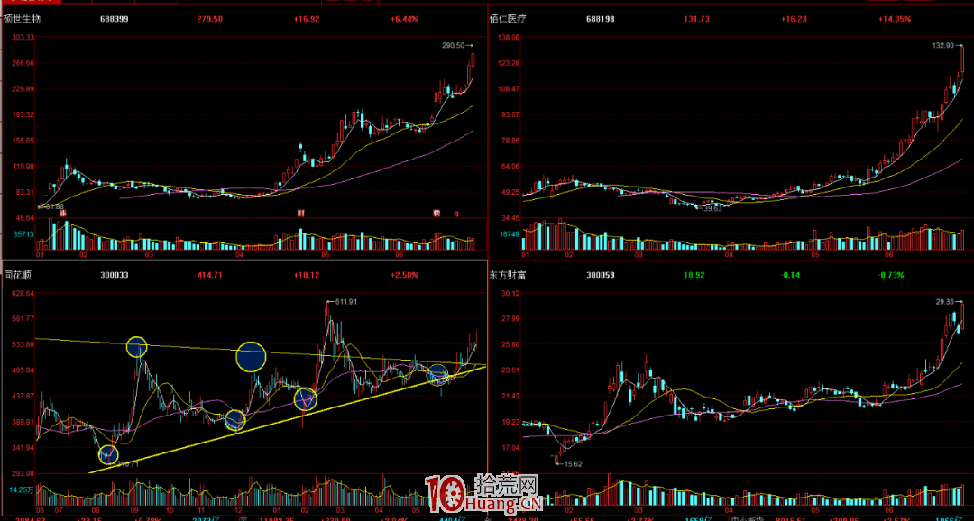 強者恒強背後的意義！（圖解）,拾荒網