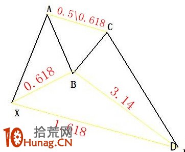 螃蟹形態圖解：蝴蝶形態的特例 蝶翅演變為長蟹腿,拾荒網